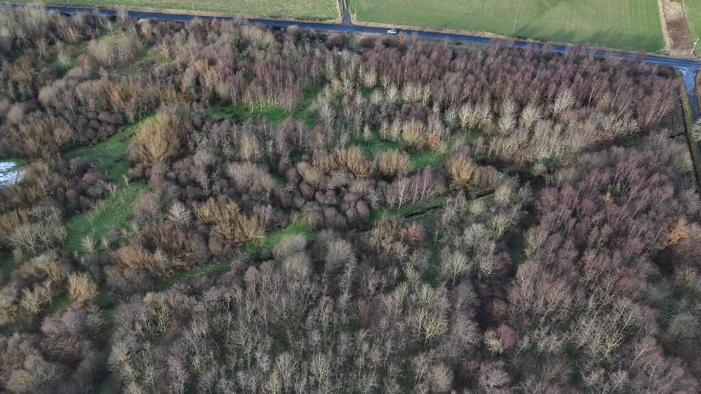 Additional image 5 of Barra Moss Woodland, Oldmeldrum