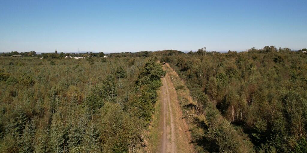 Additional image 20 of Sowerby Wood, Carlisle, Cumbria, CA5