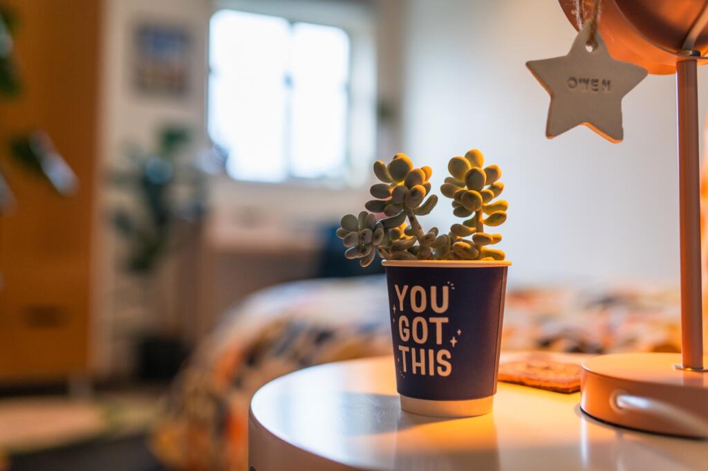 Additional image 18 of Finnimore Court, Llandaff North