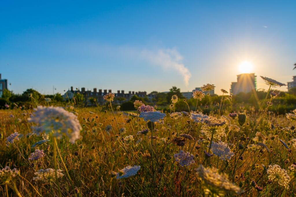 Additional image 21 of Windsor Esplanade, Cardiff Bay