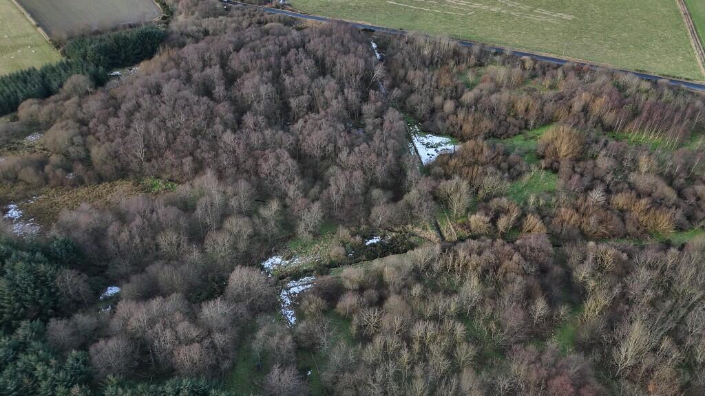Additional image 9 of Barra Moss Woodland, Oldmeldrum