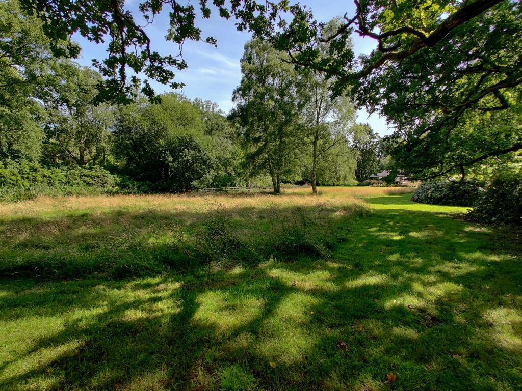 Additional image 15 of Beechwood Lane, Burley, Ringwood, BH24