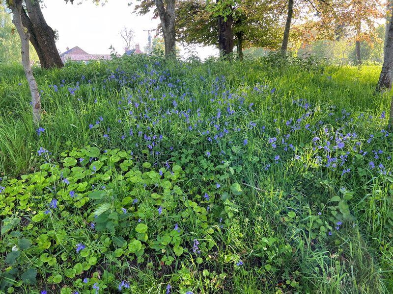 Additional image 26 of 5 Rosebank, Heads Nook