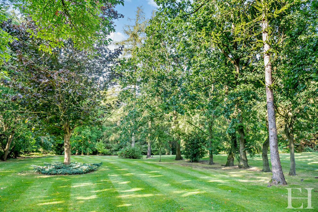 Additional image 24 of Sturmer