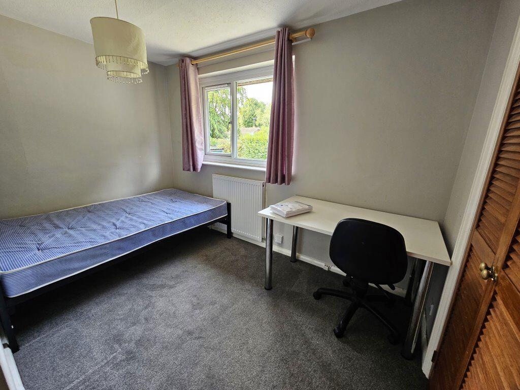 Additional image 8 of Cheviots