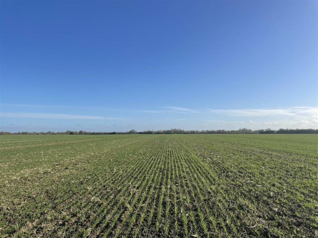 Primary image of Ely
