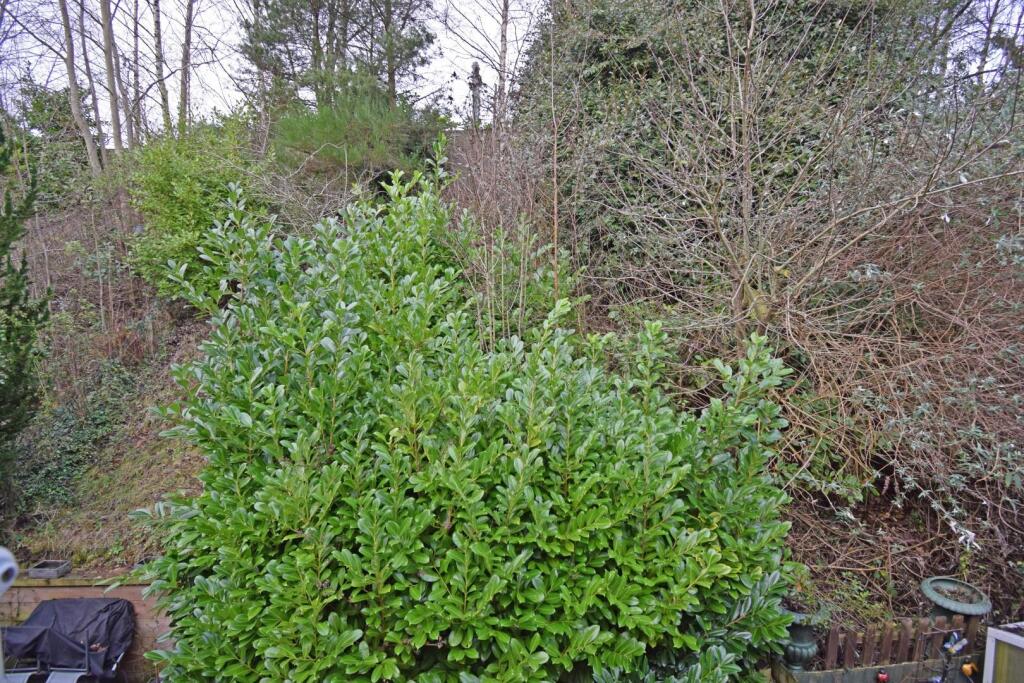 Additional image 11 of 10 Greenbank, Barnt Green, Worcestershire, B45 8DH