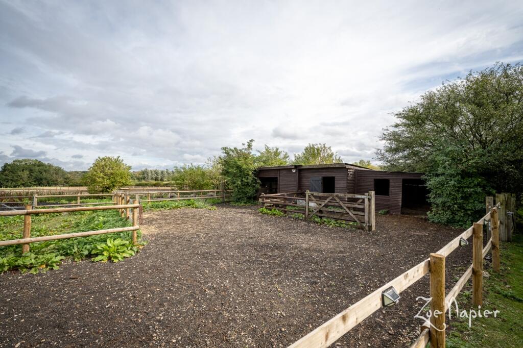 Additional image 3 of Sturmer