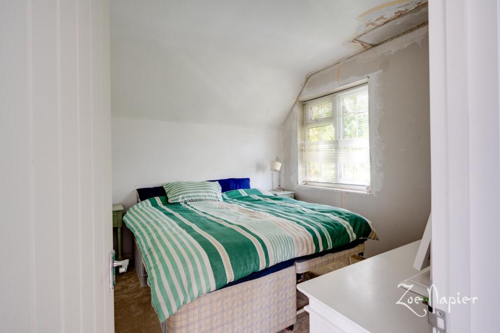 Additional image 25 of Sturmer