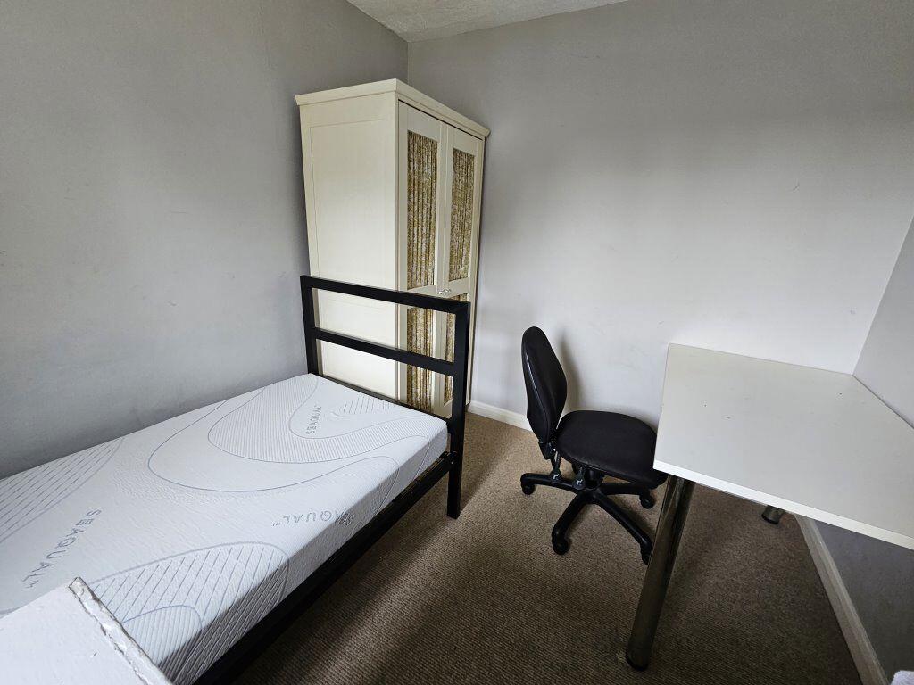 Additional image 7 of Cheviots