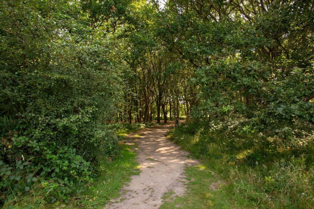 Additional image 19 of Mill Drive, Henfield