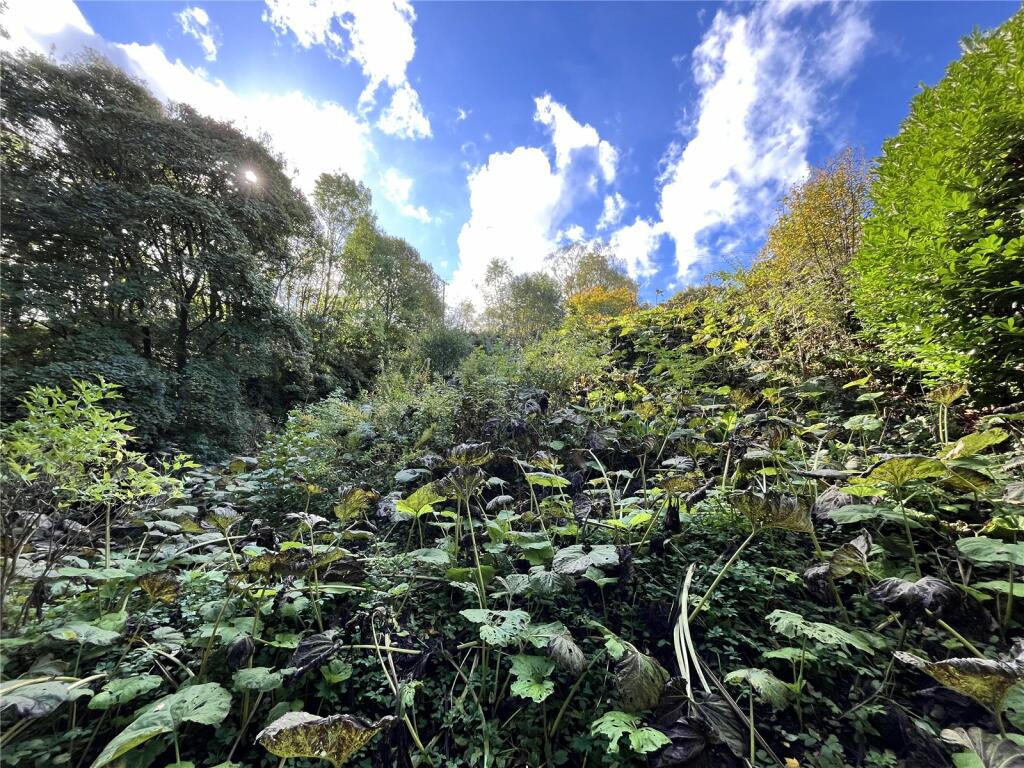 Additional image 19 of Greenhead, Brampton, CA8