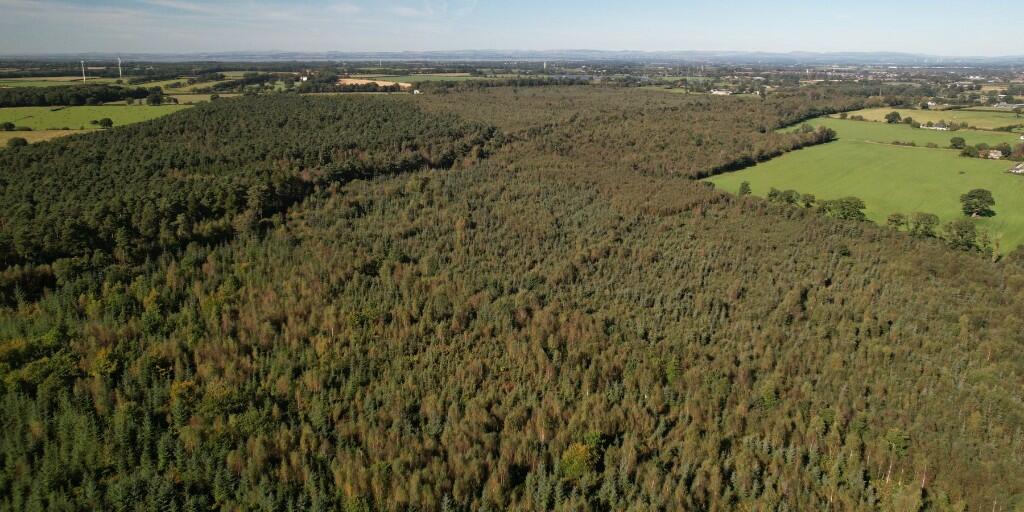 Additional image 2 of Sowerby Wood, Carlisle, Cumbria, CA5