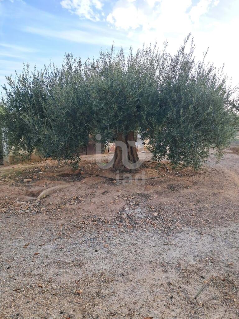 Additional image 3 of Murcia, Abanilla, Spain