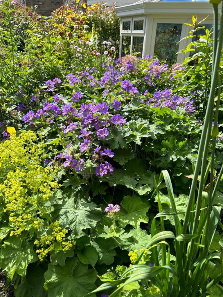 Additional image 38 of Bankside, Long Preston, Skipton, North Yorkshire, BD23