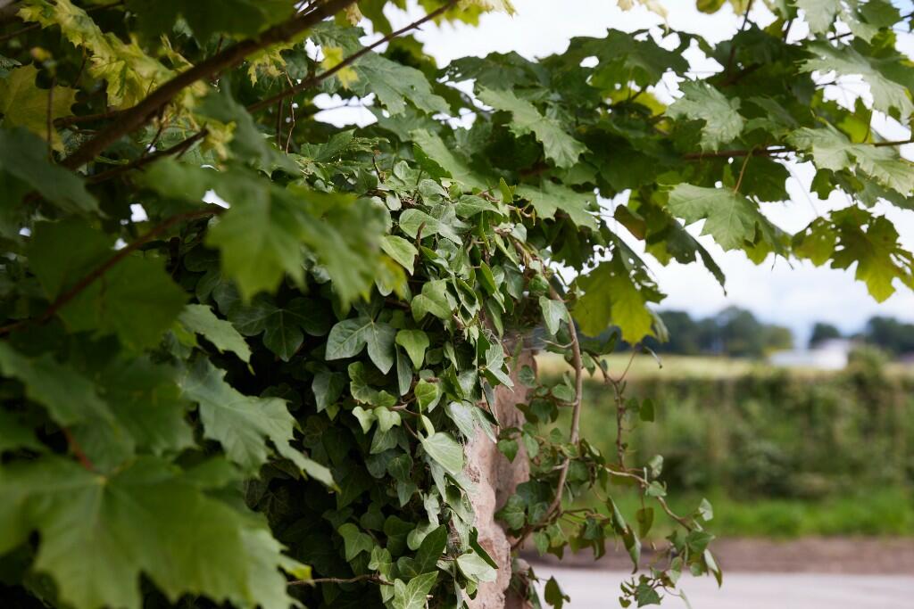 Additional image 17 of Manor Farm,
Crofton,
Thursby,
Carlisle,
CA5 6QB