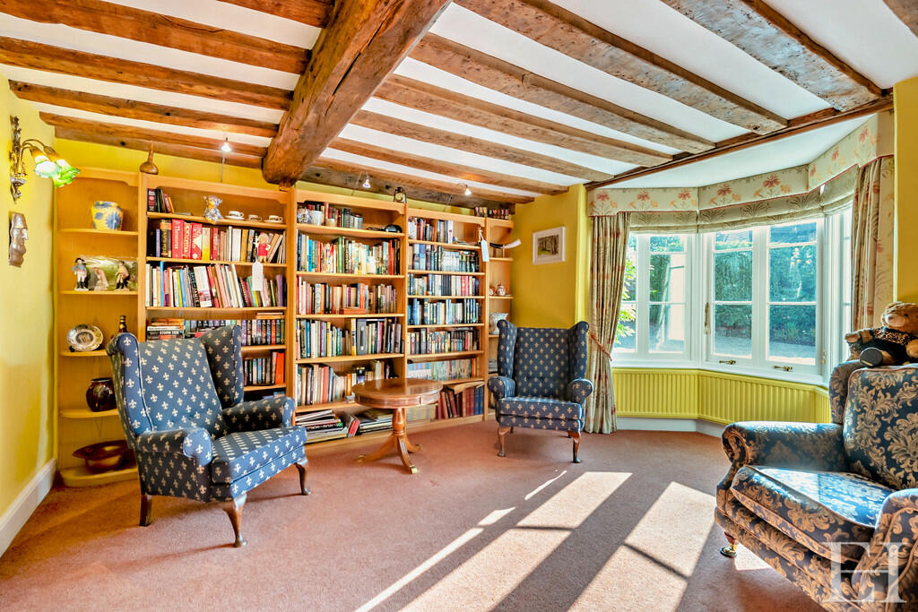 Additional image 4 of Sturmer