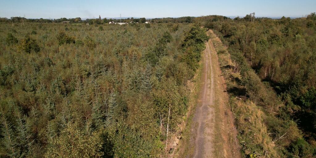 Additional image 12 of Sowerby Wood, Carlisle, Cumbria, CA5