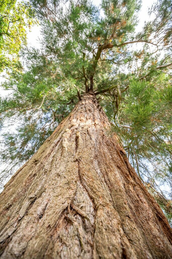 Additional image 54 of Newbiggin House, Carleton, Carlisle, CA4 0AJ