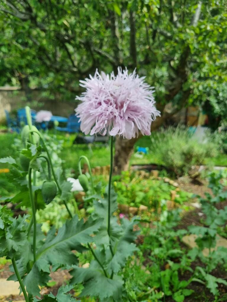 Additional image 19 of Davey Drive, Brighton, BN1