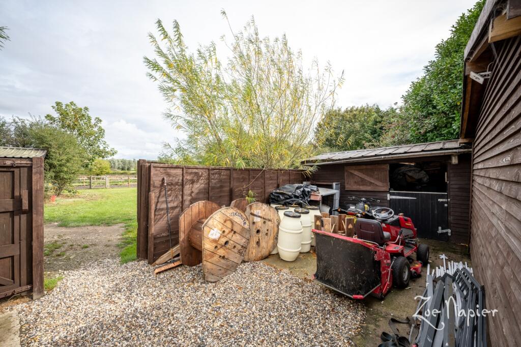 Additional image 9 of Sturmer