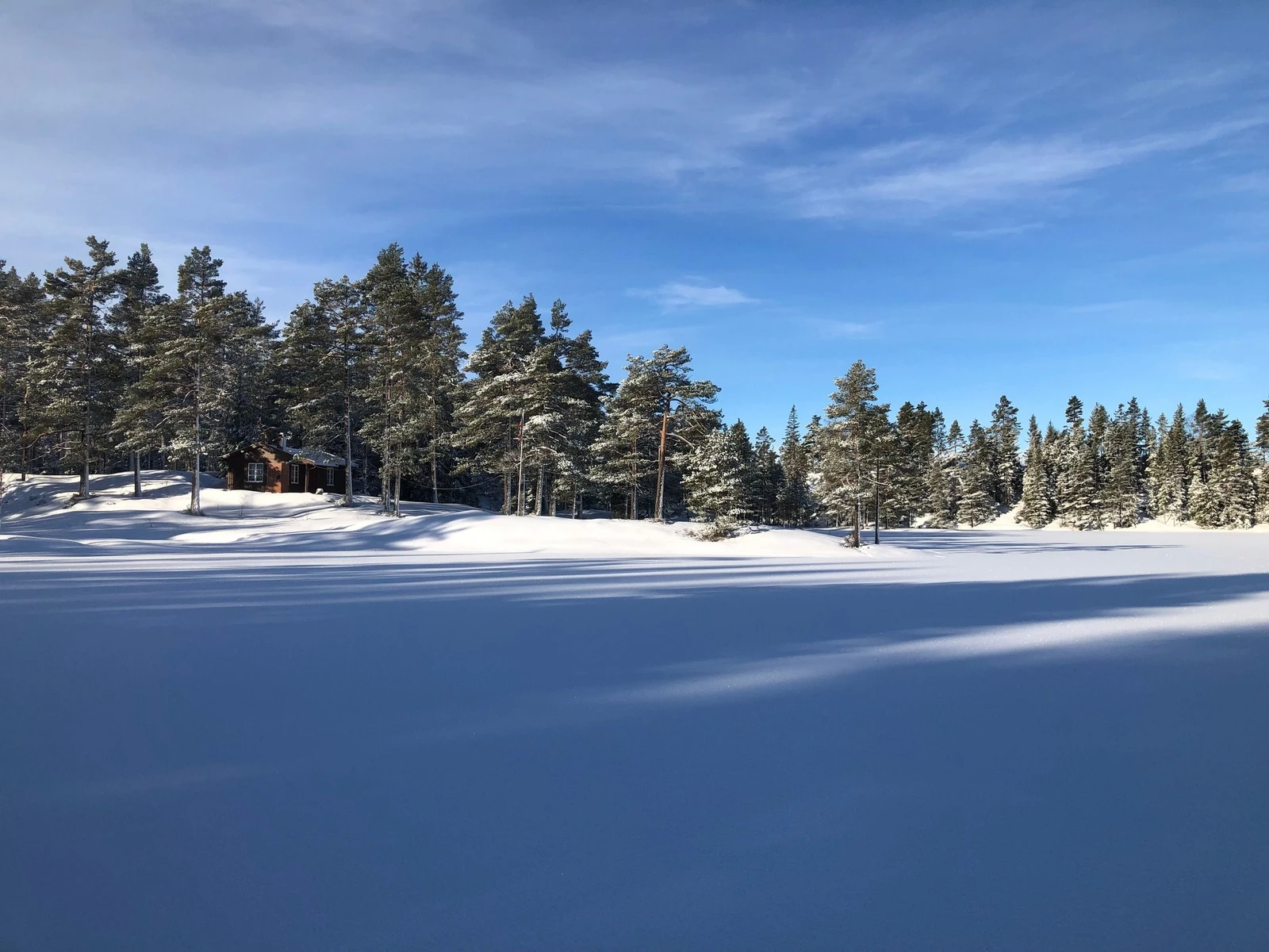 Additional image 2 of Øynaheiveien 579, 4828 Mjåvatn