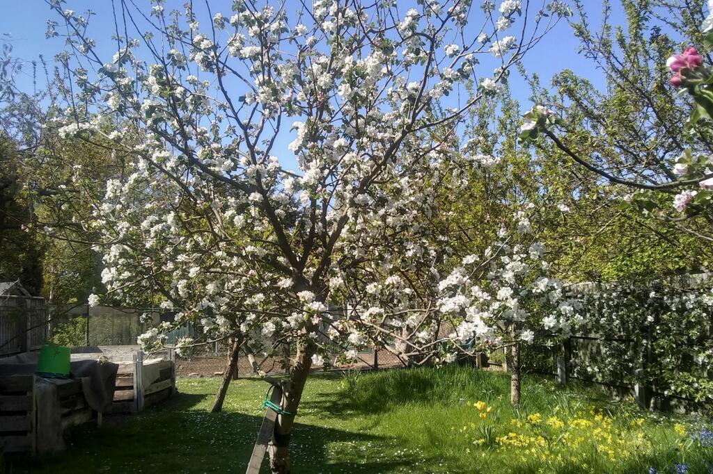 Additional image 30 of London Road, Harston, CB22