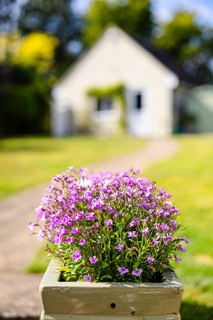 Additional image 30 of High Street, Hempstead, CB10