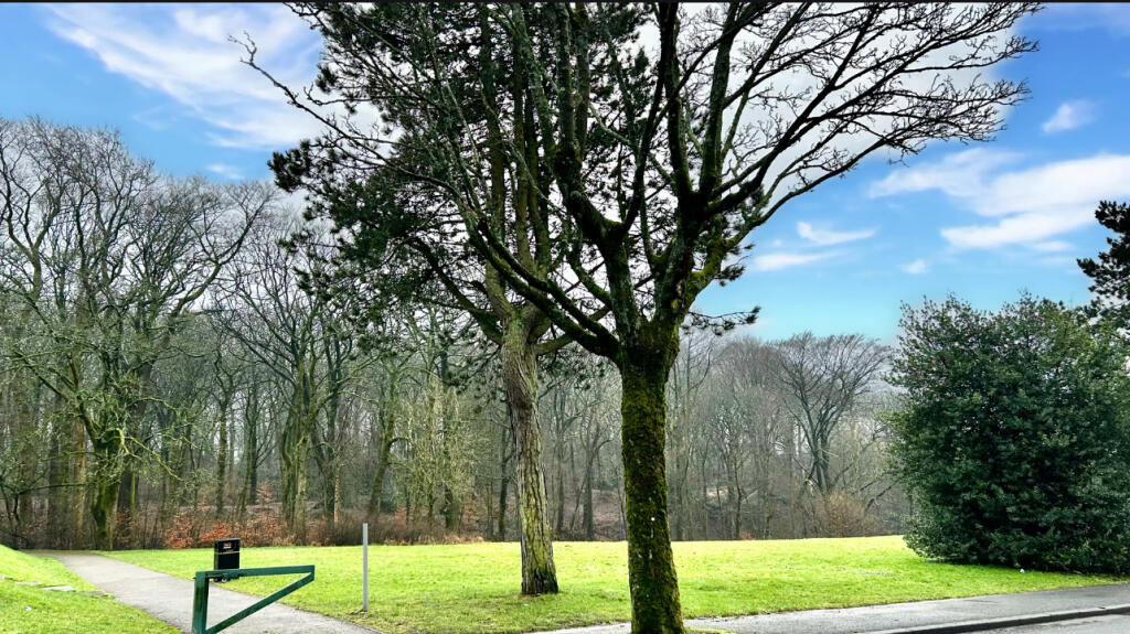 Additional image 11 of Walton Lane, Nelson, BB9