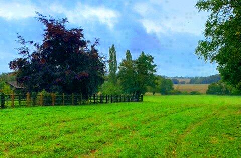 Additional image 25 of Finchingfield Road, Little Sampford, Saffron Walden, Essex, CB10