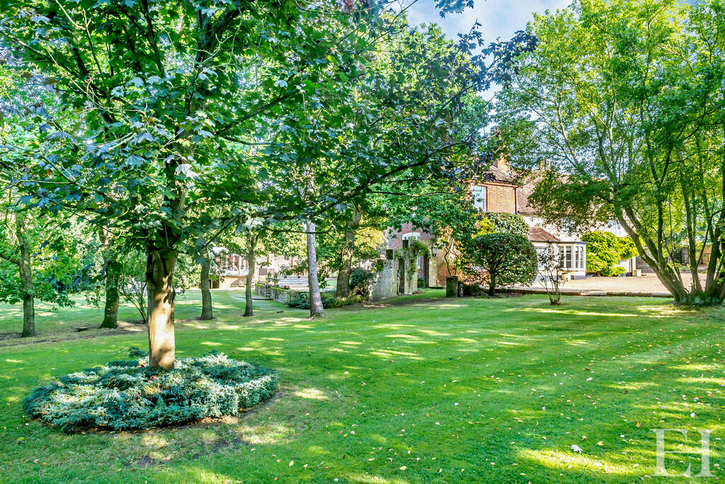 Additional image 27 of Sturmer