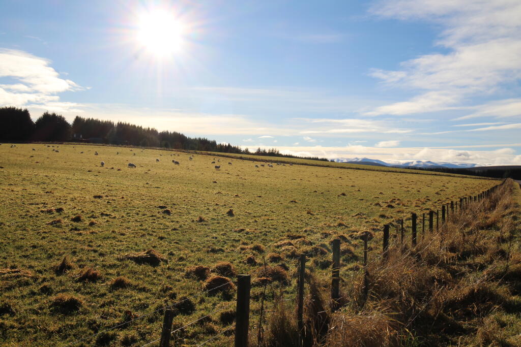 Additional image 16 of Main Street, Tomintoul, Moray, Highlands