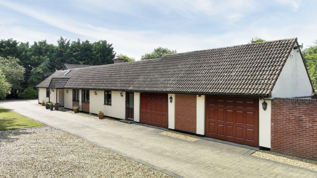 Additional image 35 of Mare Fen, Littleport