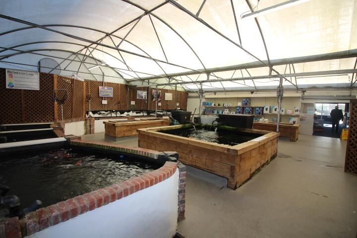 Additional image 3 of World Of Water, Mulbrooks, Hailsham, East Sussex, BN27