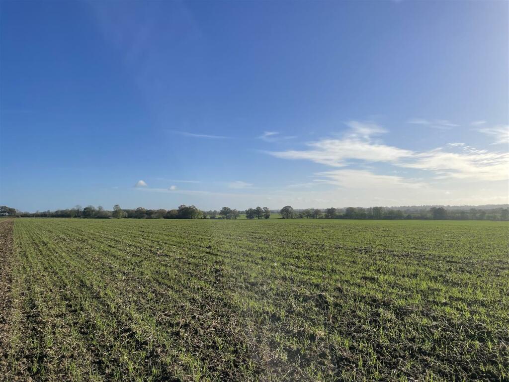 Additional image 8 of Ely