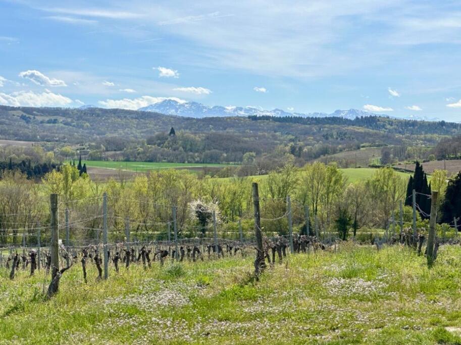 Additional image 2 of Belveze-Du-Razes, Languedoc-Roussillon, 11240, France