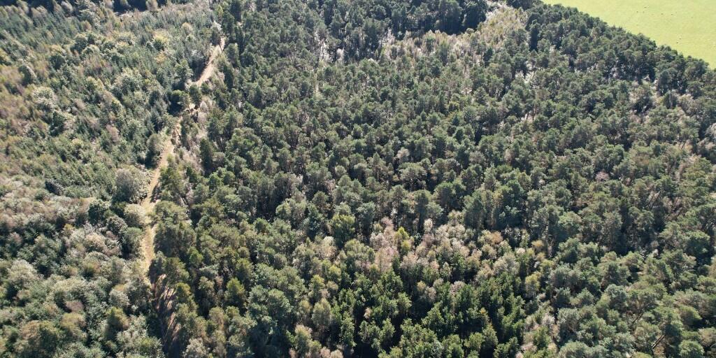 Additional image 18 of Sowerby Wood, Carlisle, Cumbria, CA5