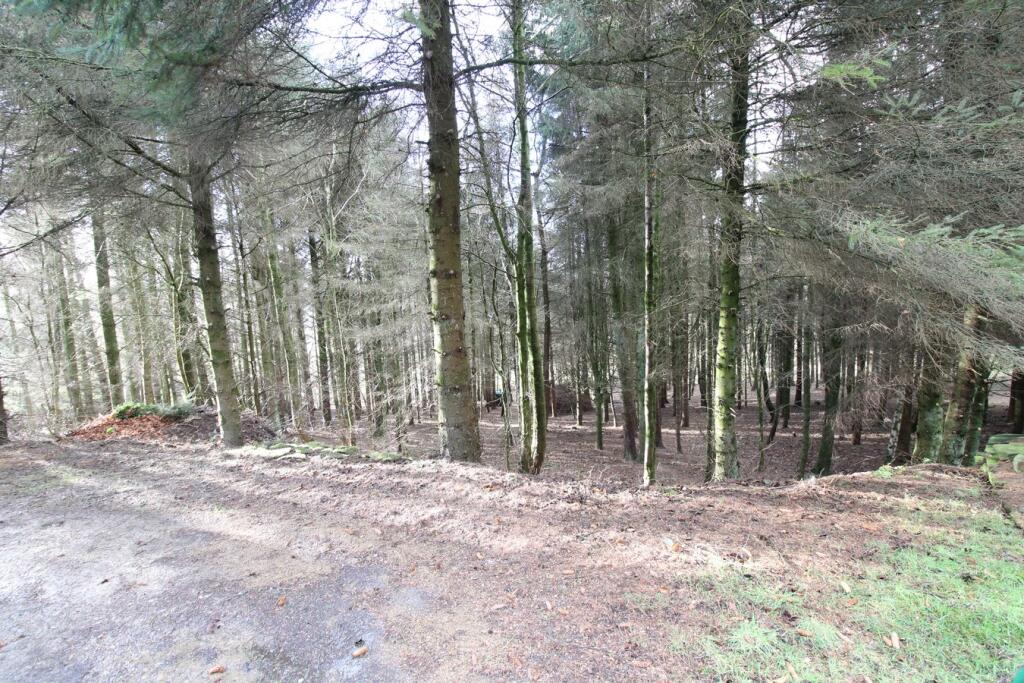 Additional image 53 of Black Moor Road, Oxenhope, Keighley, BD22