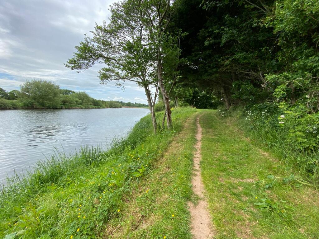 Additional image 35 of Sunny Mount, Cargo, CA6