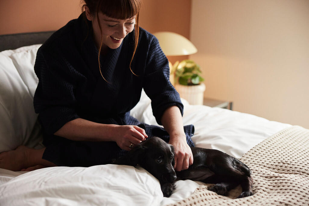 Additional image 4 of Hove Gardens House, Ethel Street, Hove