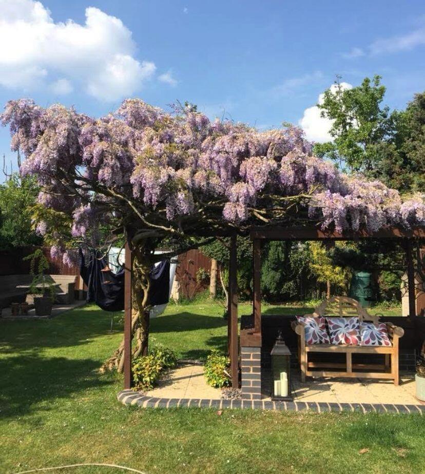 Additional image 27 of Woodlands Lane, Shirley