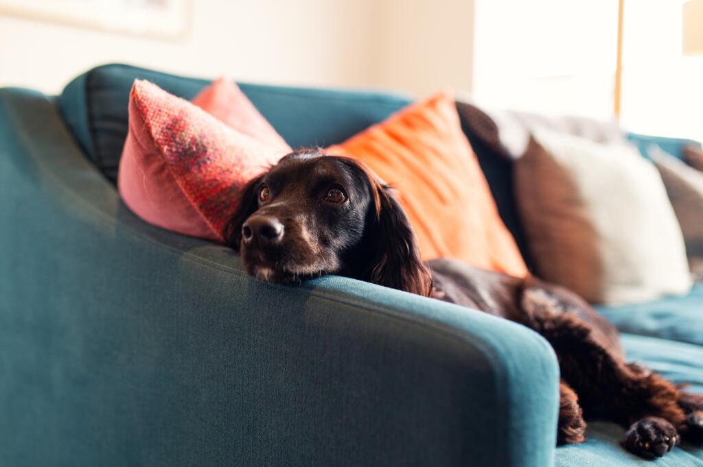 Additional image 18 of Windsor Esplanade, Cardiff Bay