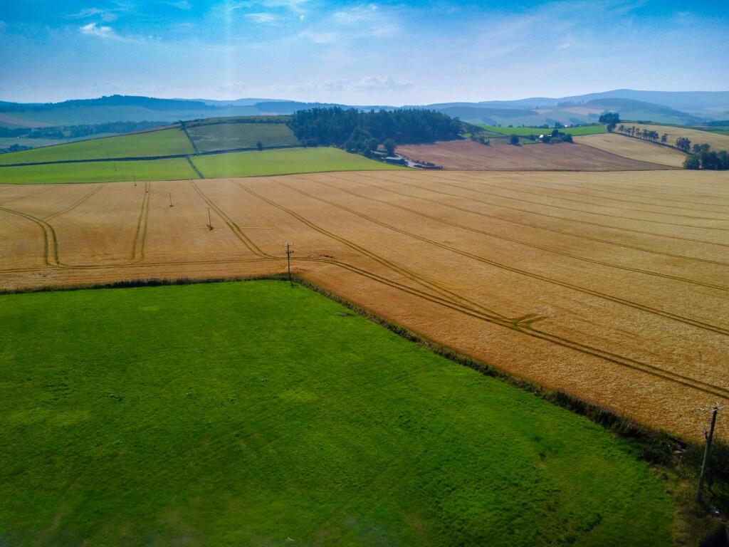 Additional image 34 of Alford, AB33