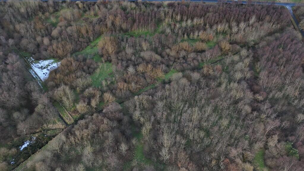 Additional image 10 of Barra Moss Woodland, Oldmeldrum
