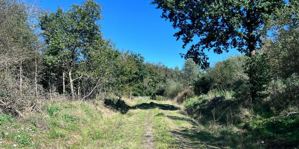 Additional image 7 of Sowerby Wood, Carlisle, Cumbria, CA5