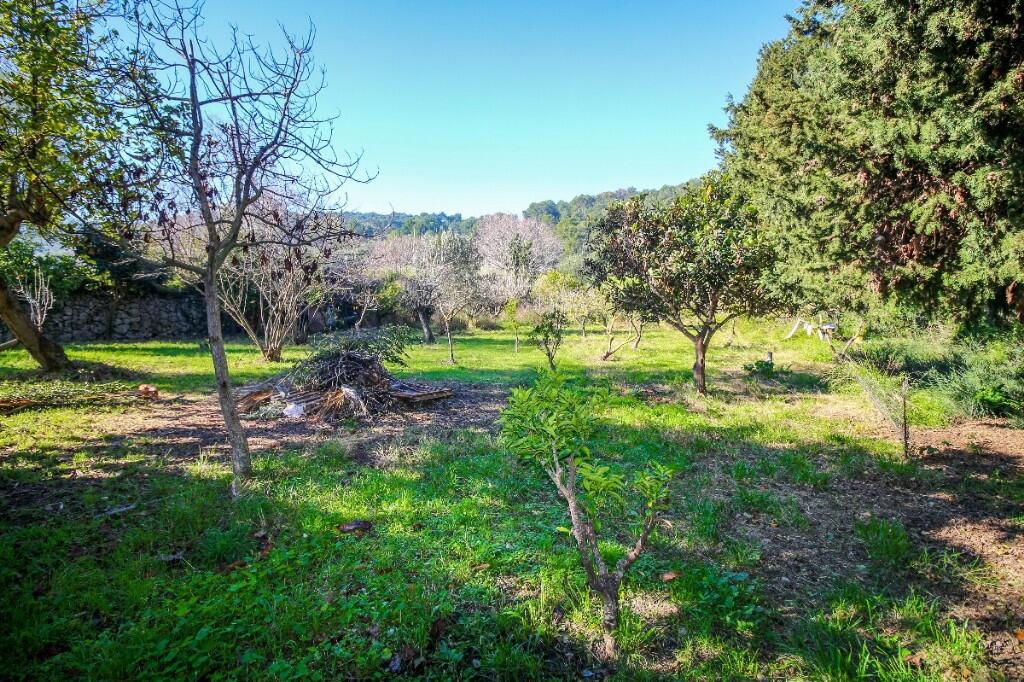 Additional image 3 of Pollença, Mallorca, Balearic Islands, Spain