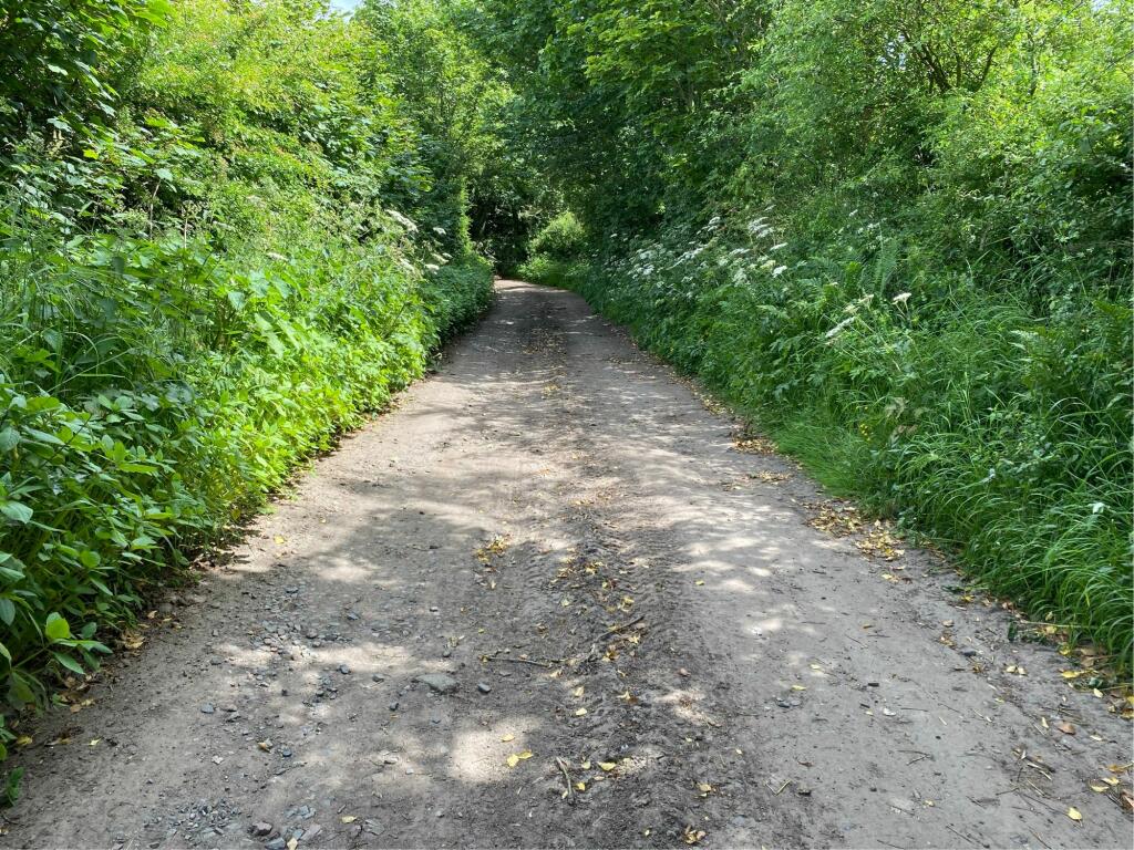 Additional image 31 of Sunny Mount, Cargo, CA6