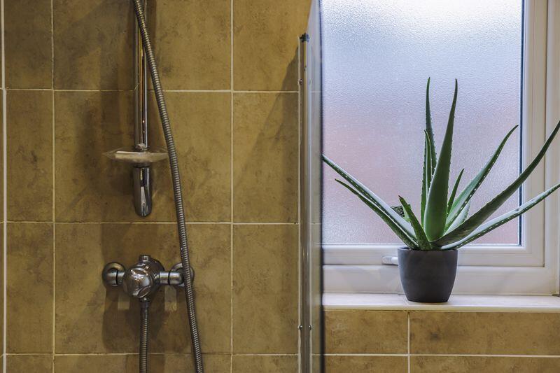 Additional image 22 of Ollerton Street, Eagley