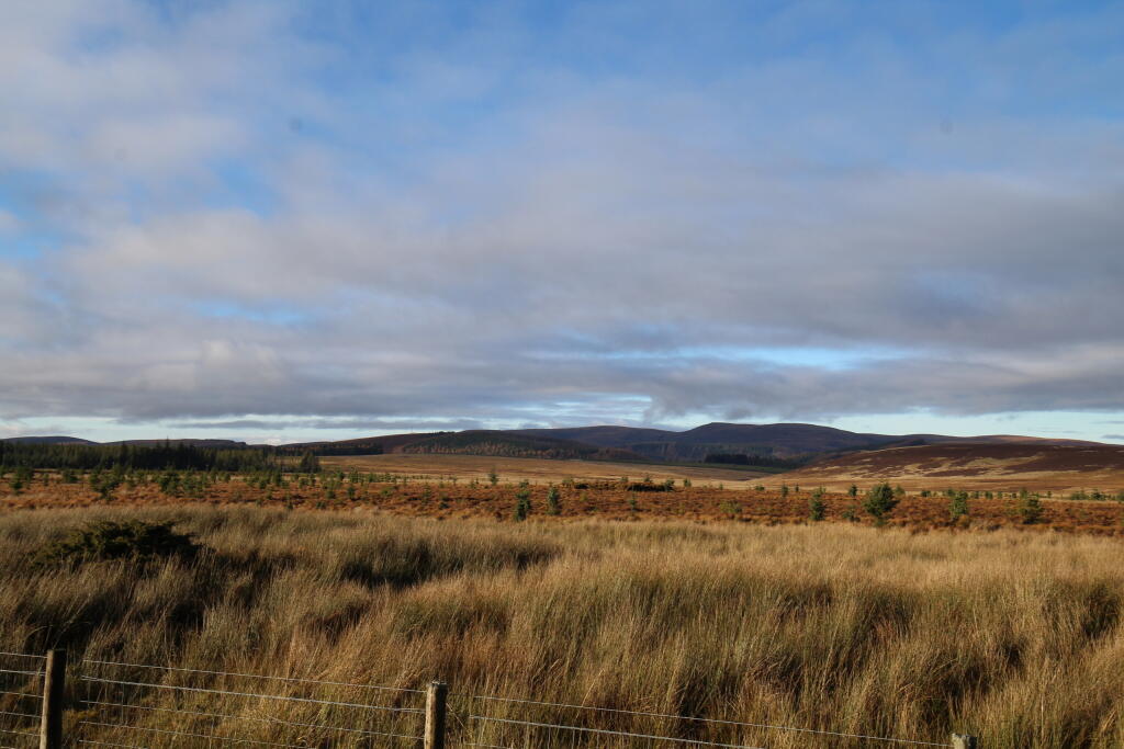 Additional image 18 of Main Street, Tomintoul, Moray, Highlands