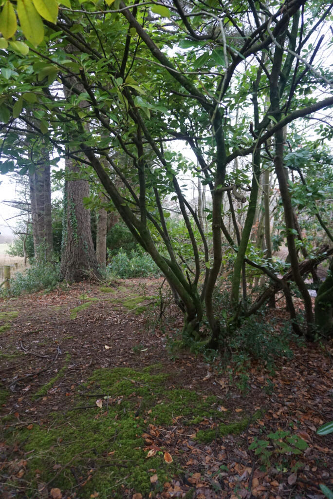 Additional image 23 of Glenwood, Ravenglass, Cumbria CA18 1RN